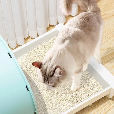 2025 New Products Environmentally Biodegradable Kitty Litter Bulk Purchase Low Dust Firm Clumping Low Tracking Cat Litter 100% Natural Materials Cassava Cat Sand Litter

