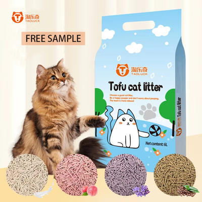 kopen Lavendel Flushable Tofu Kattenvuil OEM ODM Clumping Clean Bulk online manufacture
