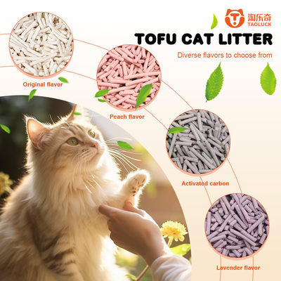 satın al Kokusuz Doğal kedi çöpü Dayanıklı uygun fiyatlı Doğal kedi çöpü online manufacture