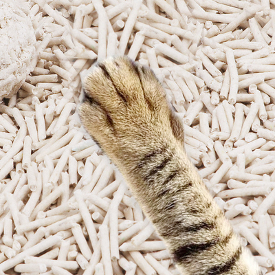 kopen Biologisch afbreekbaar tofu voor katten met een hoge kwaliteit Wit katten met een lage traceerbaarheid online manufacture