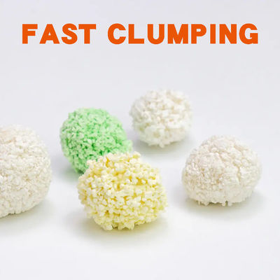 kupować Niski poziom pyłu, biodegradowalne, odlewające się kaszę koty, wykonane z skrobi kaszę, dla ekologicznej pielęgnacji zwierząt domowych produkcja online