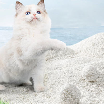 kopen Fabrieksrecht Groothandel 6L 100% Ingrediënt Veiligheid Kattenvuilbare zandbak zachte textuur Uitstekende klontering Neutraal geuren snel stofvrij tapioca Kattenvuilbak zandbak met smaak groene thee online vervaardiging